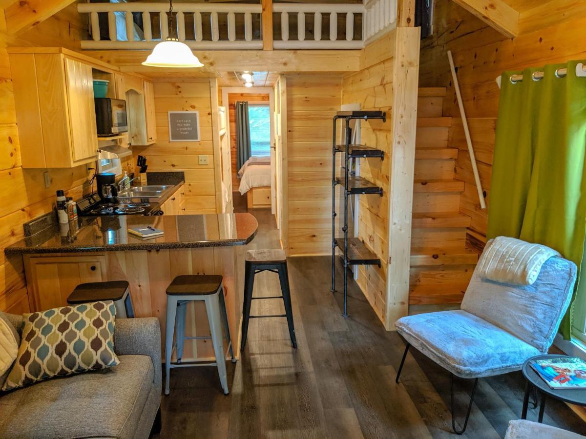 Elise Cabin Forest Retreat 5 Mins To Downtown Chattanooga Exterior foto